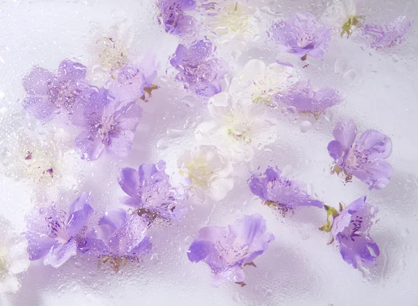 Όμορφο λουλούδι φόντο Royalty Free Φωτογραφίες Αρχείου
