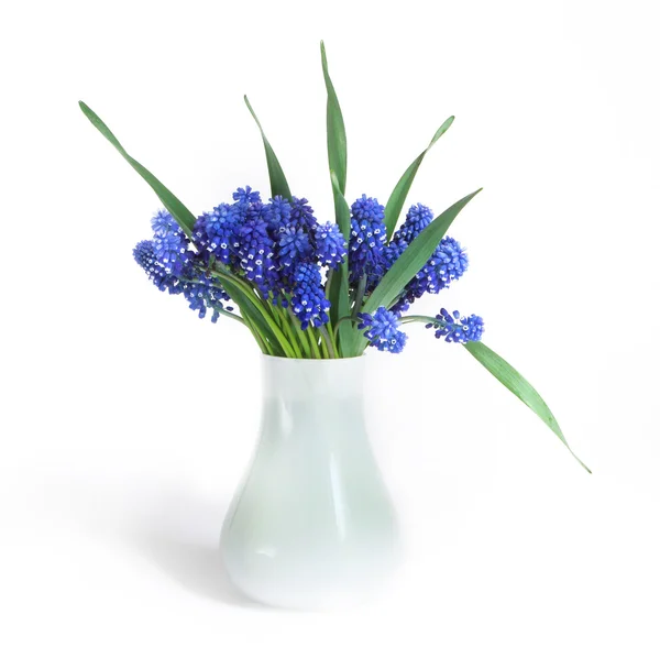 Όμορφη μπλε λουλούδια — Φωτογραφία Αρχείου