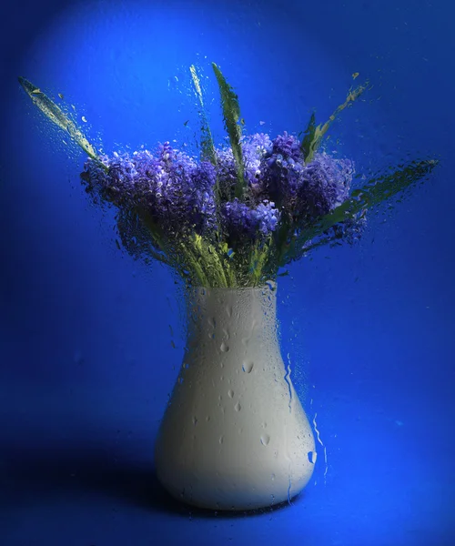 Красивими блакитними квітами — стокове фото