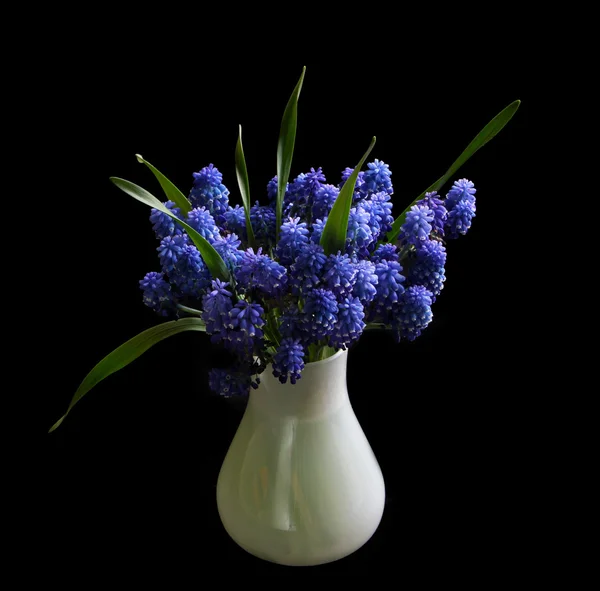 Beyaz vas içinde güzel mavi çiçekler — Stok fotoğraf