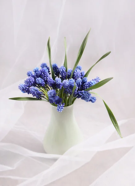 美丽的蓝色的花 — 图库照片