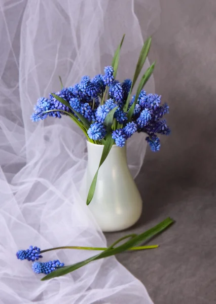 美丽的蓝色的花 — 图库照片