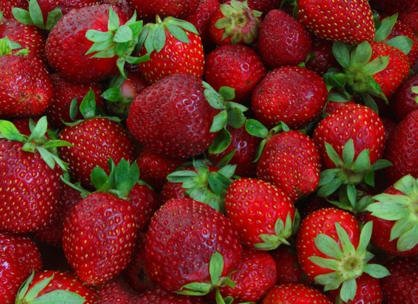 Latar Belakang Strawberry — Stok Foto