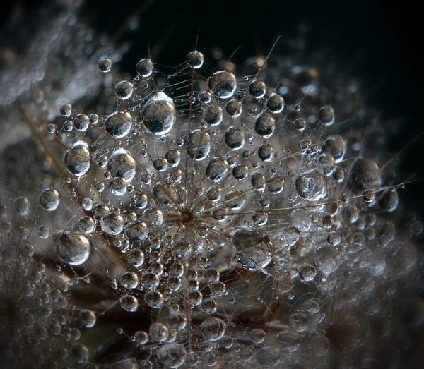 水滴 — 图库照片