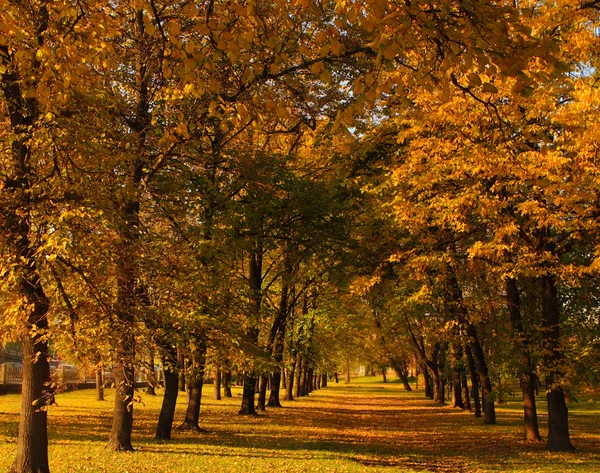 Widok jesienny — Zdjęcie stockowe