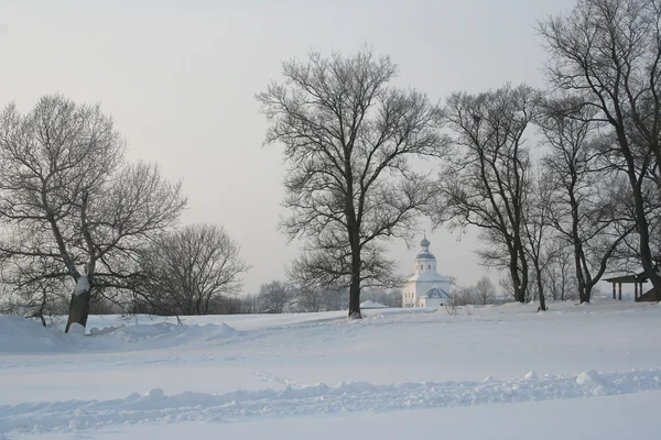 Λευκό χειμώνα θέα — Φωτογραφία Αρχείου