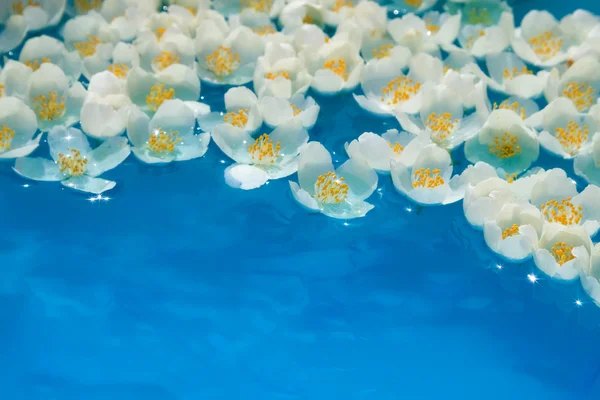 Незвичайні води квіти — стокове фото