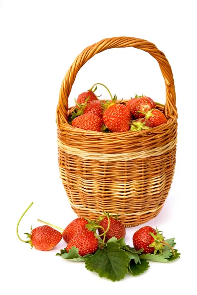 Košík s jahodou — Stock fotografie