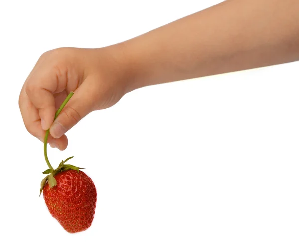 Strawberry dalam anak — Stok Foto