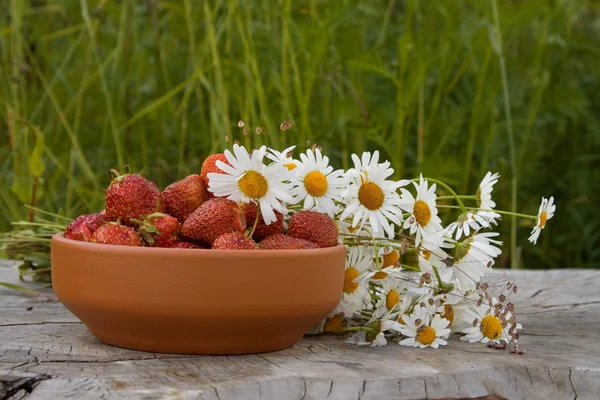 stock image Country still life