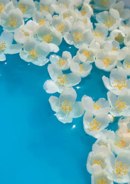 Bílý Jasmín květy v modré vodě — Stock fotografie