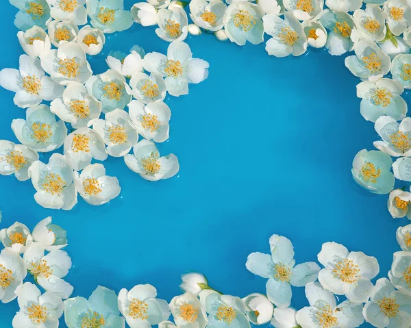 White jasmin flowers in blue water — Stock Photo, Image