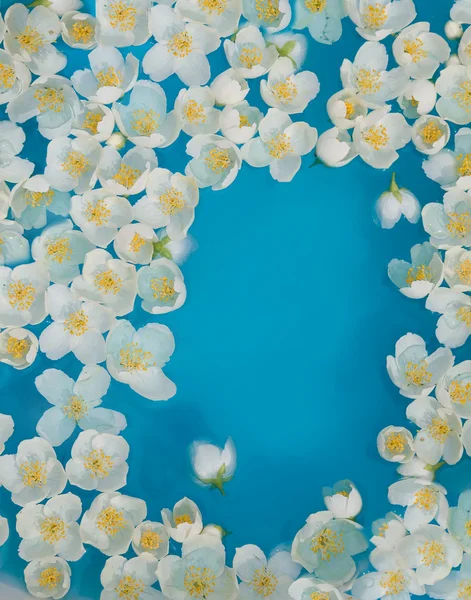 Weiße Jasminblüten in blauem Wasser — Stockfoto