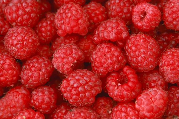 Appetizing raspberry background — Stock Photo, Image