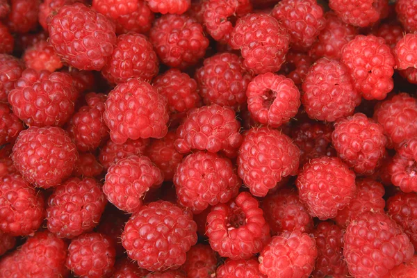 Appetizing raspberry background — Stock Photo, Image