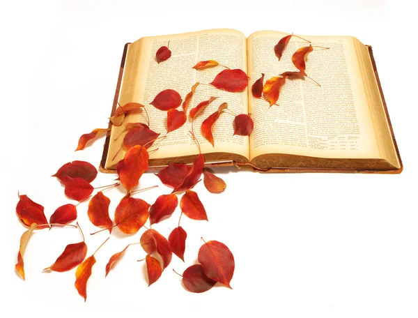 Осіннє листя на старовинній книзі — стокове фото