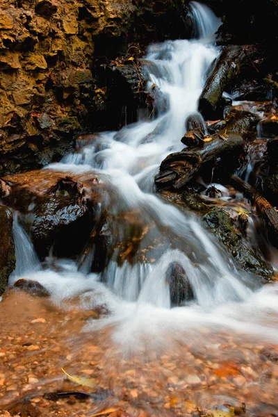 stock image Rivulet in autumn