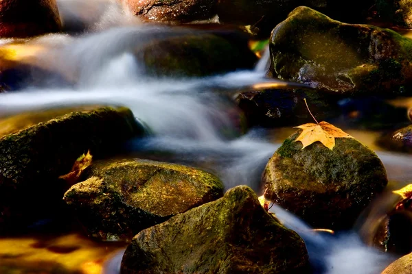 stock image Autumn rivulet