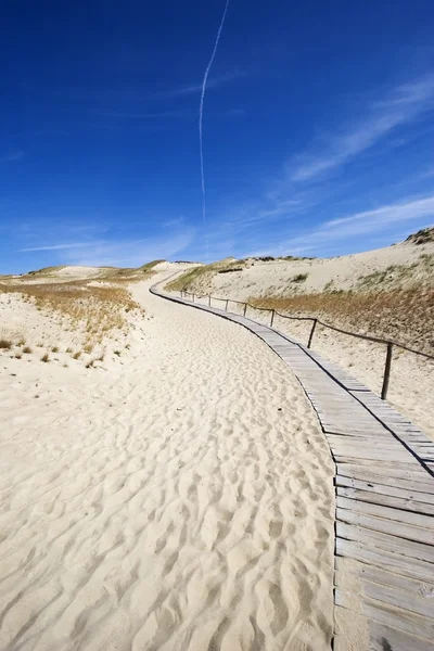 Wooden footpath in dunes — Stock Photo, Image