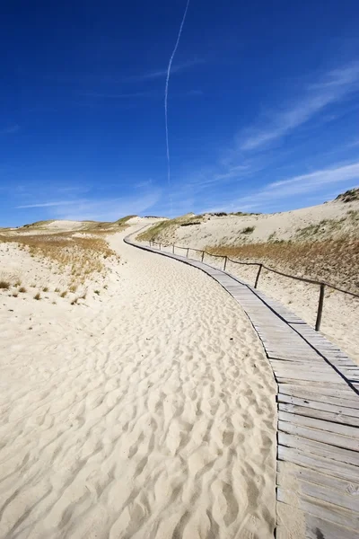 Stock image Wooden footpath in dunes