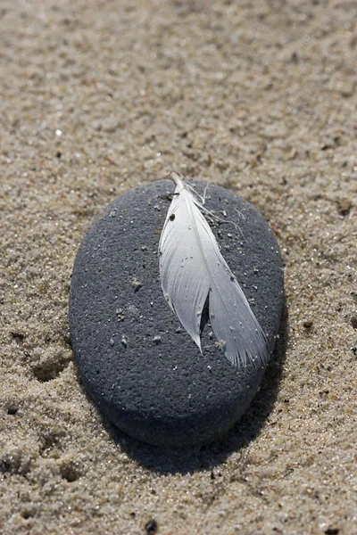 White quill on stone — Stock Photo, Image