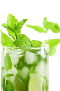 taze mojito kokteyli