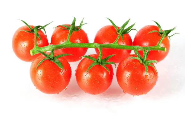 stock image Fresh cherry tomatos