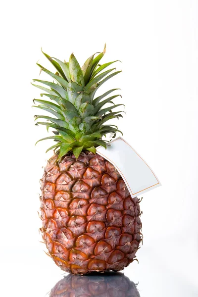 Pineapple with blank label on white back — Stock Photo, Image