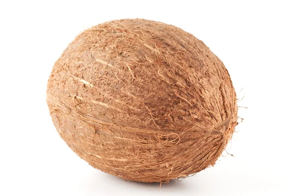 Isolierte Kokosnuss auf weißem Hintergrund — Stockfoto