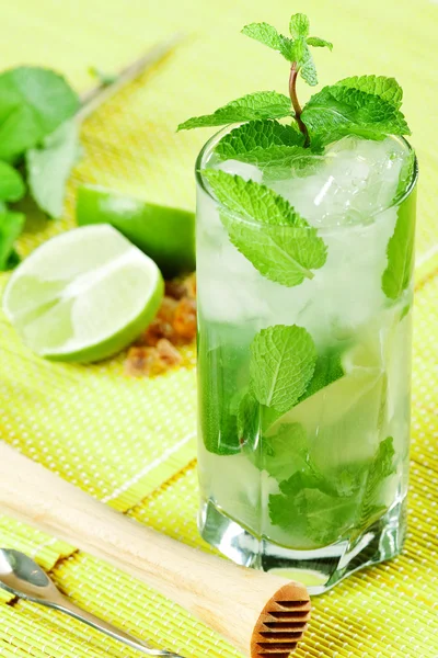 Färska mojito cocktail — Stockfoto