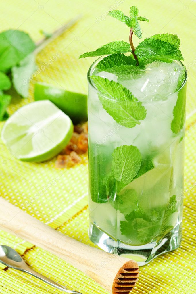 Fresh Mojito Cocktail — Stock Photo © Karandaev #1238660