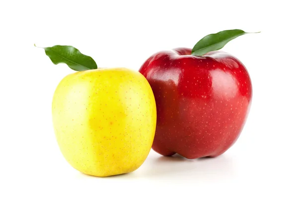 Жовтий і червоний здорових, дозрілих яблук — стокове фото