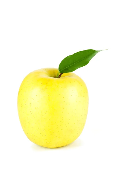 Ένα ώριμο μήλο κίτρινο με φύλλο — Φωτογραφία Αρχείου