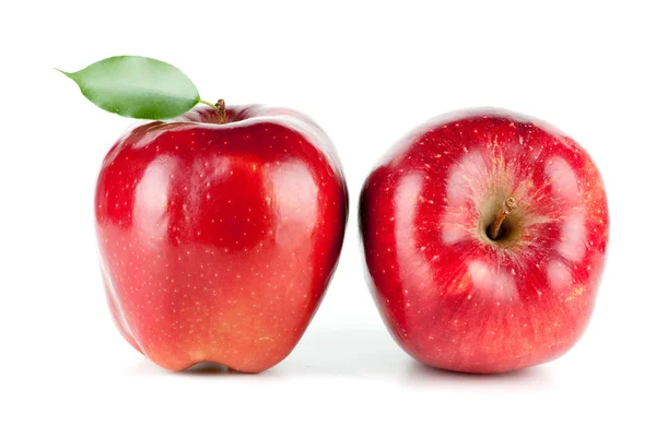 Duas maçãs vermelhas maduras — Fotografia de Stock