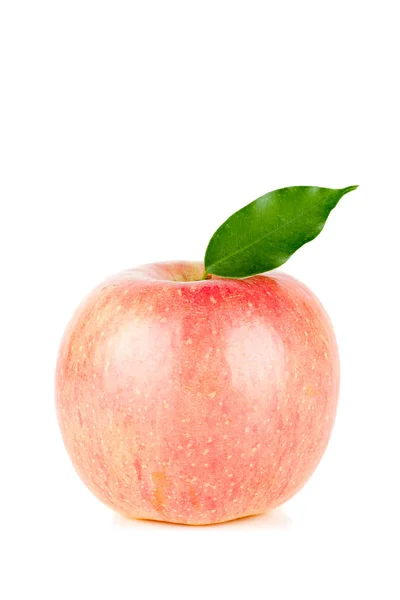 En mogen rött äpple med blad — Stockfoto