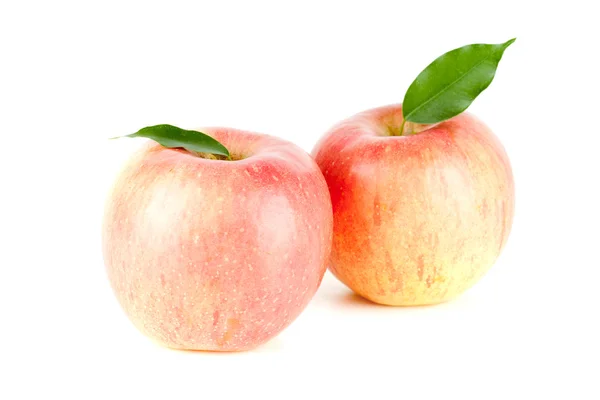 Två mogna röda äpplen — Stockfoto