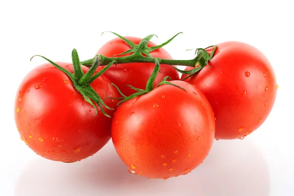 Quatro tomates frescos — Fotografia de Stock