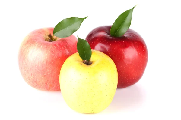 Three Ripe Apples — Stock Photo, Image