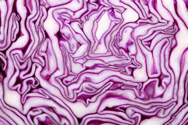 Red Cabbage macro — Stock Photo, Image