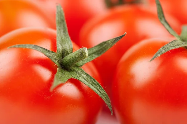신선한 체리 토마토 매크로 — 스톡 사진