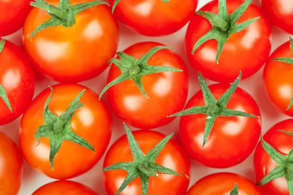 신선한 체리 토마토 배경 — 스톡 사진