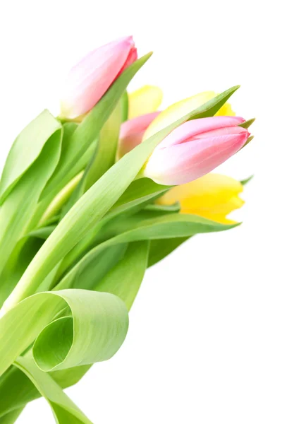 Indah pink dan kuning tulip bouqet — Stok Foto