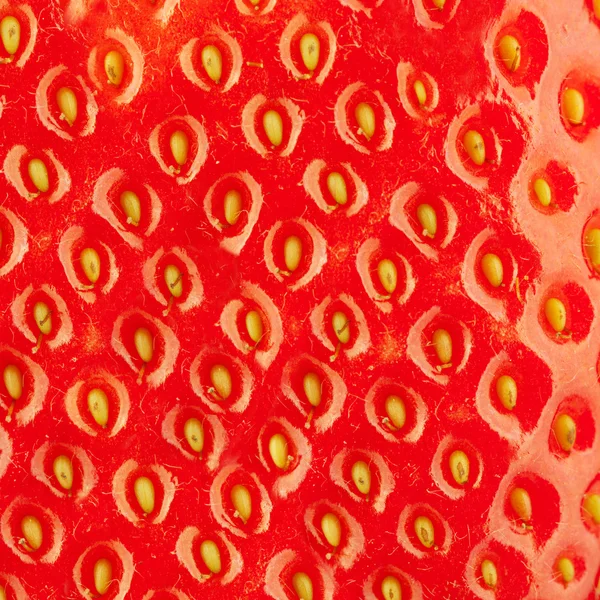 Makro Food Collection - Erdbeere — Stockfoto