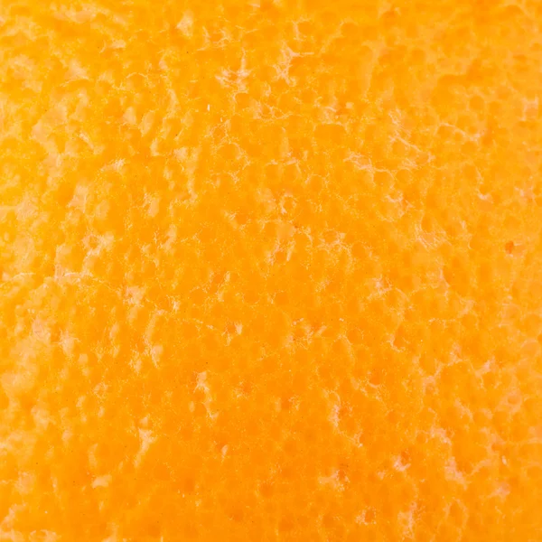 Recogida de alimentos macro - Corteza de naranja — Foto de Stock