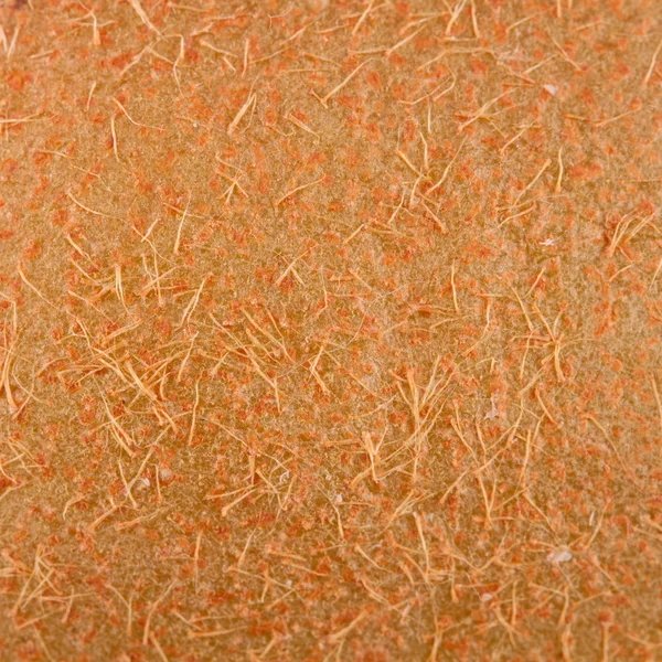 Makro mat kollektion - kiwi svål — Stockfoto