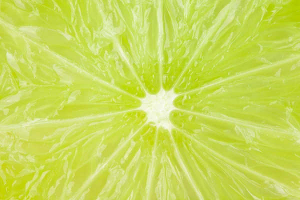 Macro food collection - Lime texture — Stock Photo, Image