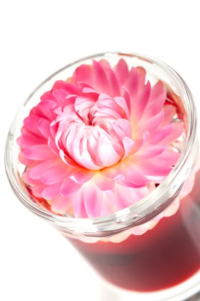 Coleção de coquetel - Beijo de flor — Fotografia de Stock