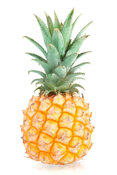 Söta mini ananas — Stockfoto