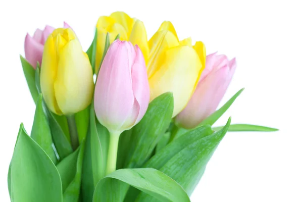 Красиві tulip bouqet — стокове фото