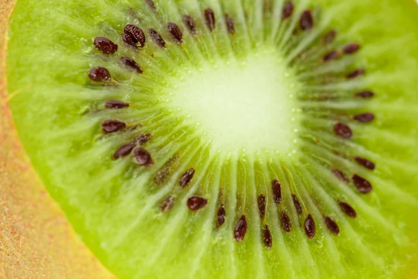 Makro-Nahrungsmittelsammlung - Kiwi. — Stockfoto